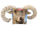 LES CORNES DE BOUQUETIN®