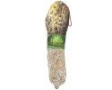 SAUCISSON SEC AUX MORILLES®