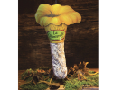 SAUCISSON SEC LA CHANTERELLE®